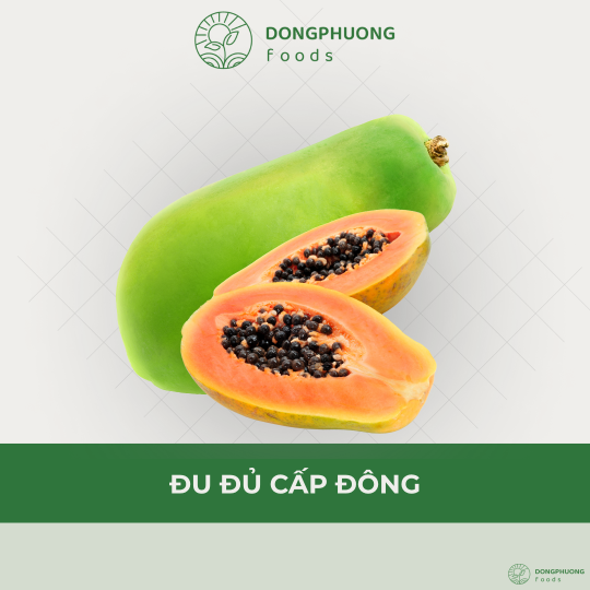 ĐU ĐỦ CẤP ĐÔNG