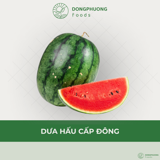 DƯA HẤU CẤP ĐÔNG