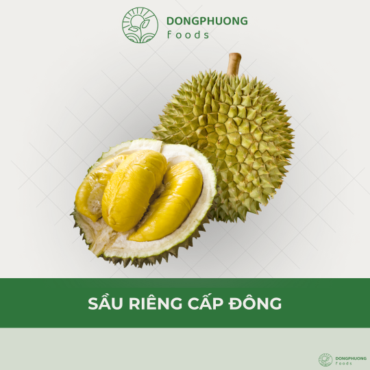 SẦU RIÊNG CẤP ĐÔNG