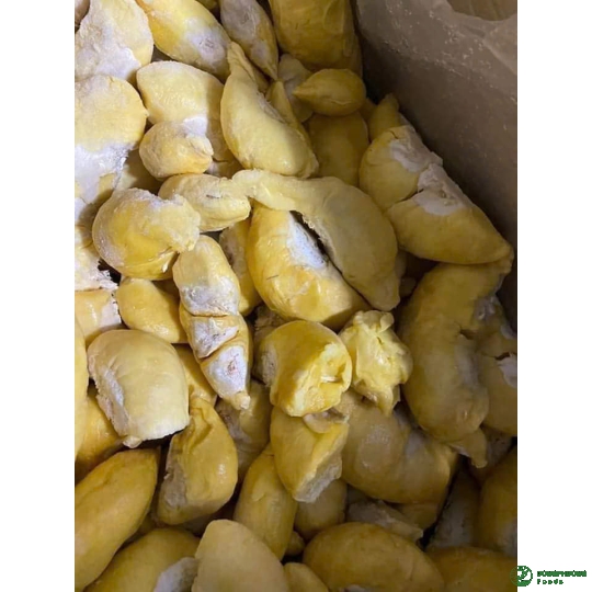 SẦU RIÊNG CẤP ĐÔNG