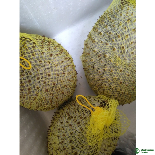 SẦU RIÊNG CẤP ĐÔNG