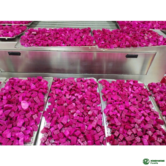 THANH LONG CẤP ĐÔNG