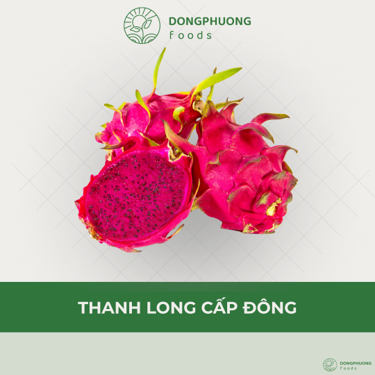 THANH LONG CẤP ĐÔNG