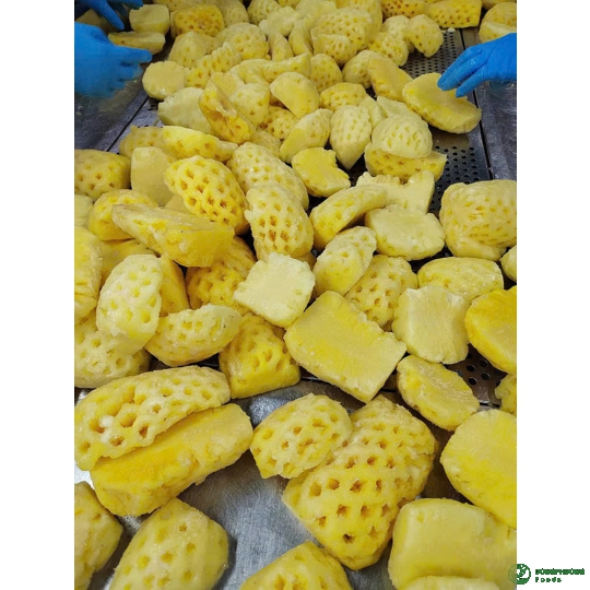 DỨA (THƠM) CẤP ĐÔNG 